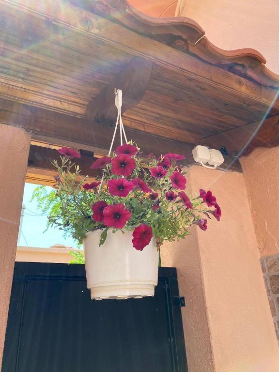 Apartment Ano Poli 4